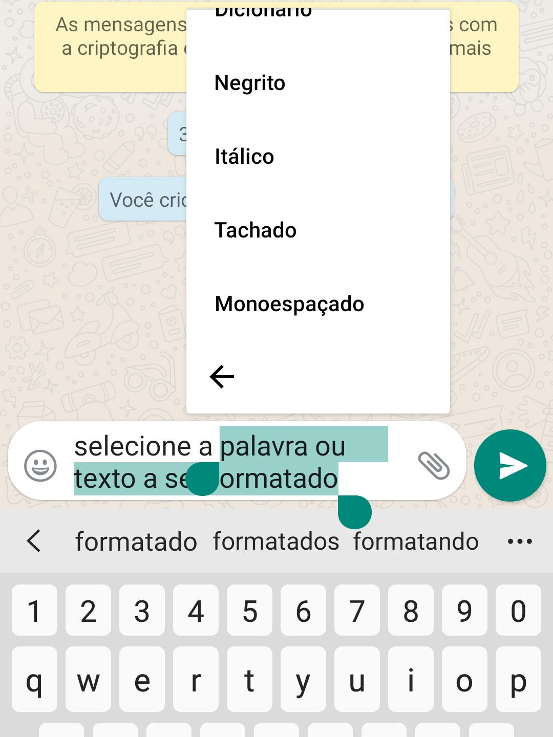 como escrever em negrito no whatsapp