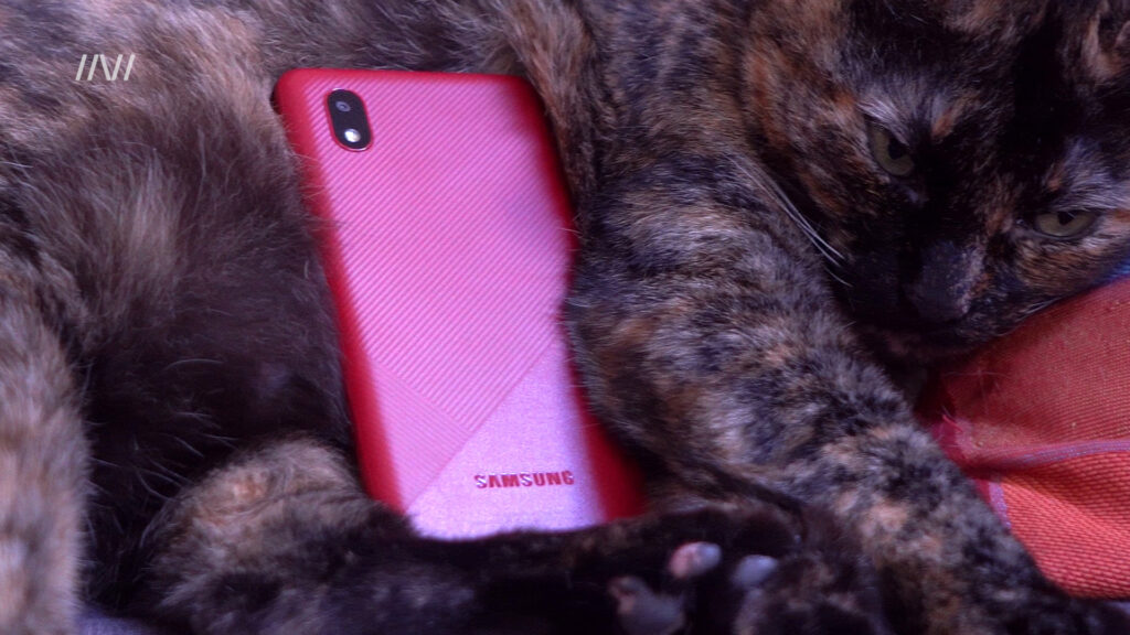 Samsung Galaxy A01 Core Mafalda