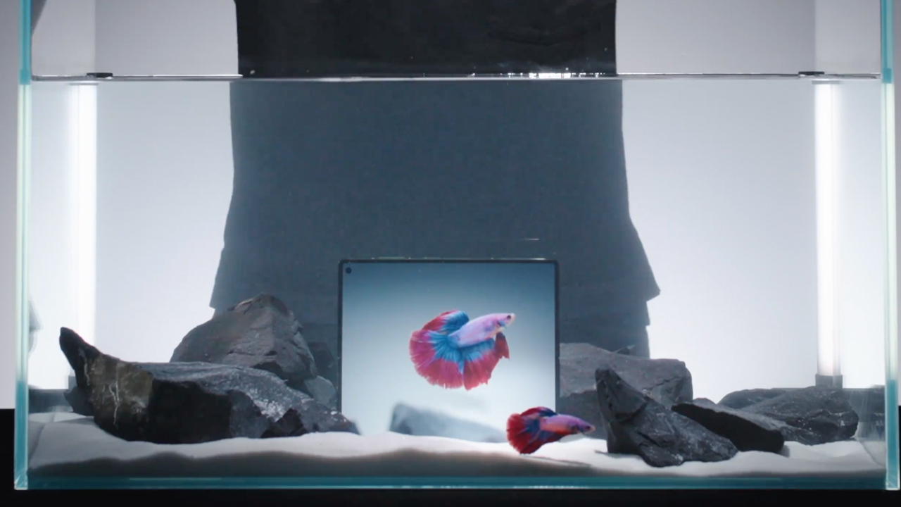 Vivo X Fold 5 poderá ser aberto e fechado embaixo d’água